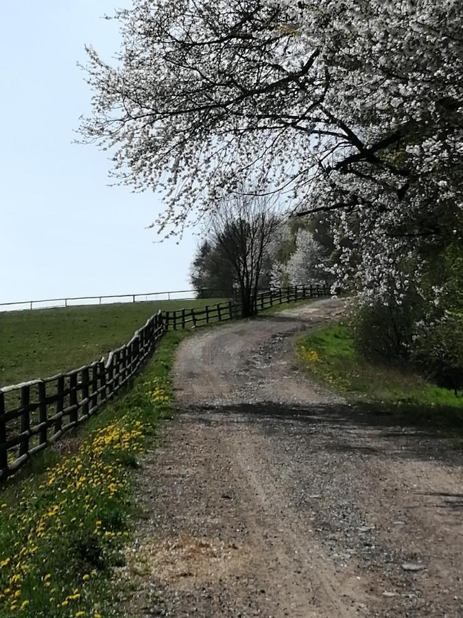 Penzión Uhliská Nemšová Exterior foto